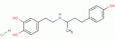 鹽酸多巴酚丁胺